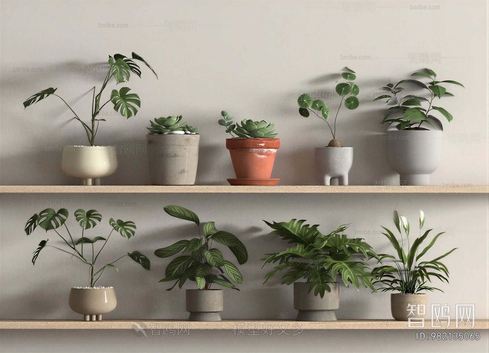 Modern Potted Green Plant