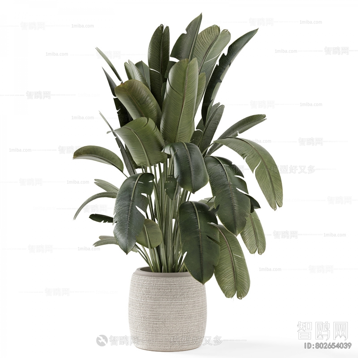 Modern Ground Green Plant Potted Plants