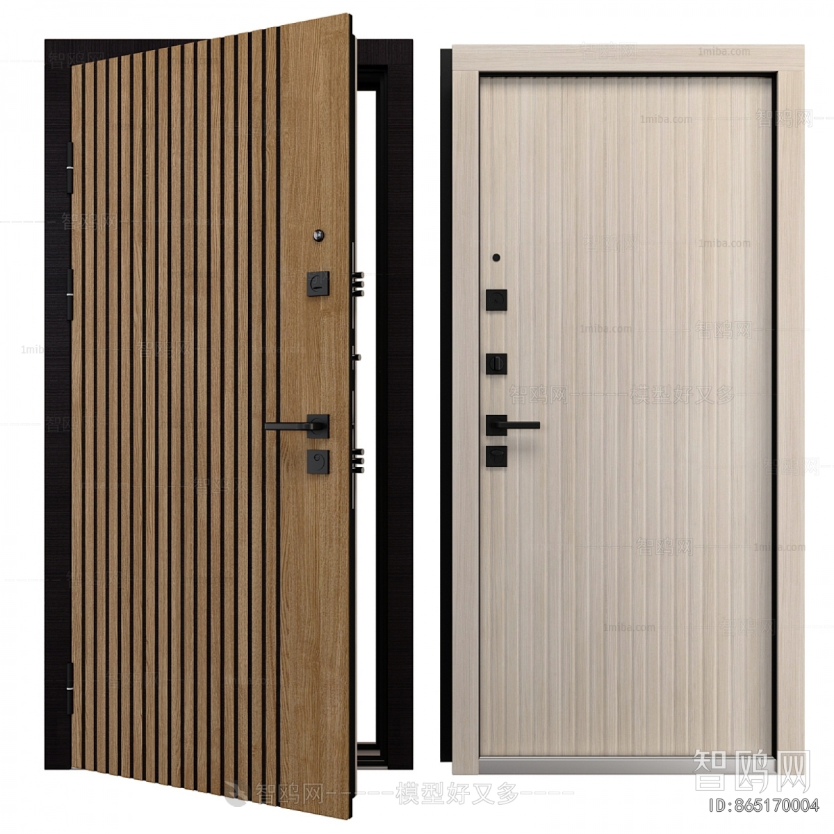 Modern Entrance Door