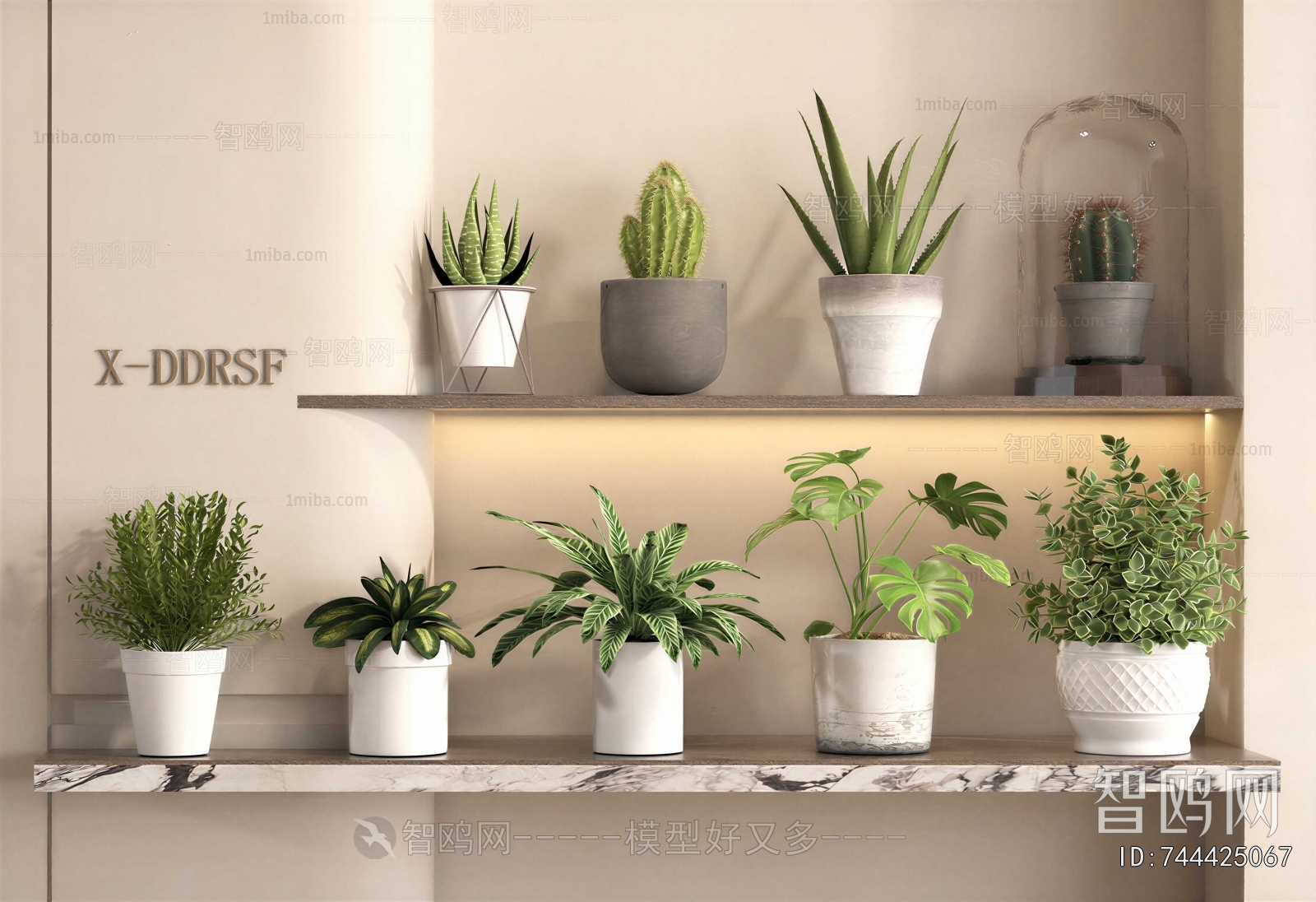 Modern Desktop Plant