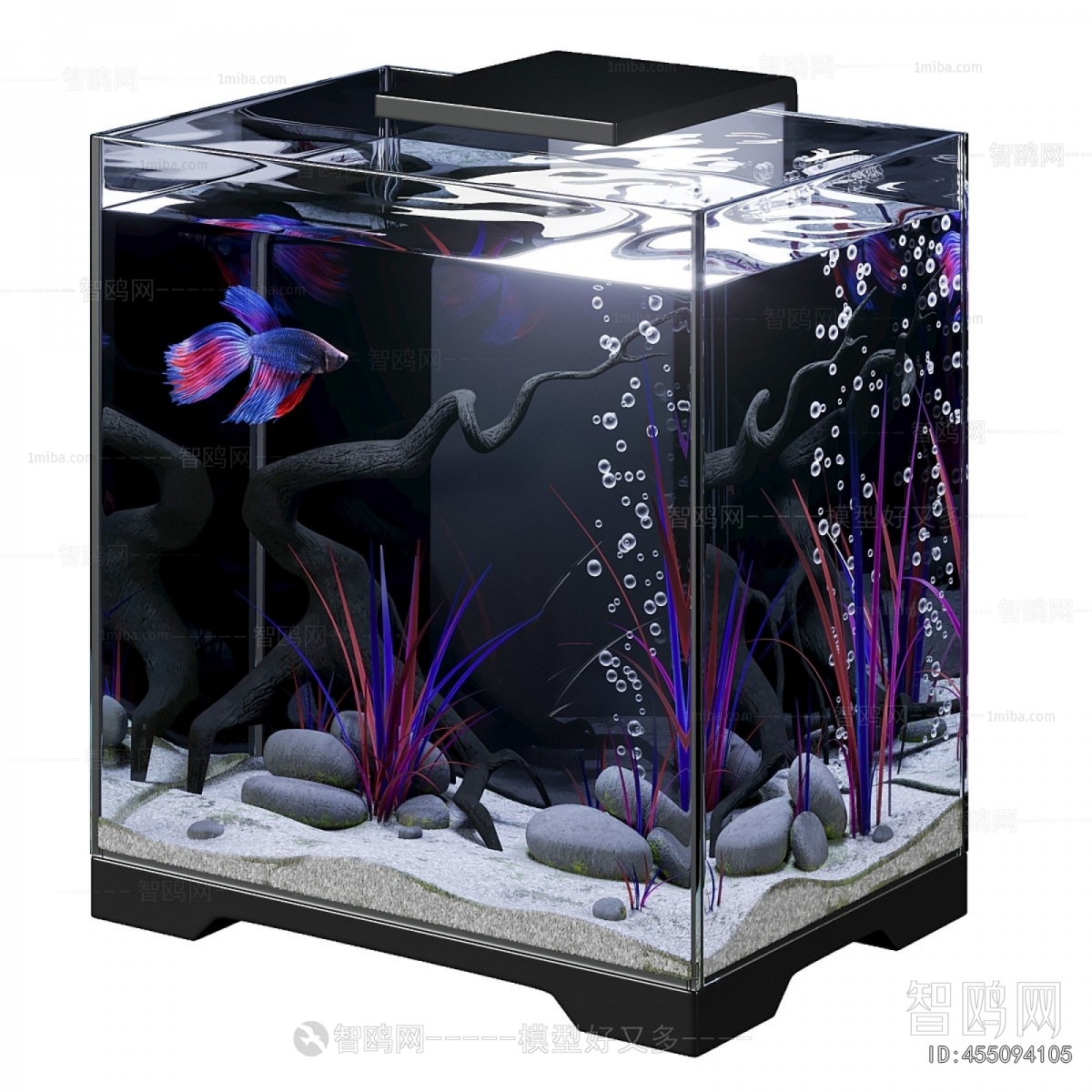 Modern Fish Tank