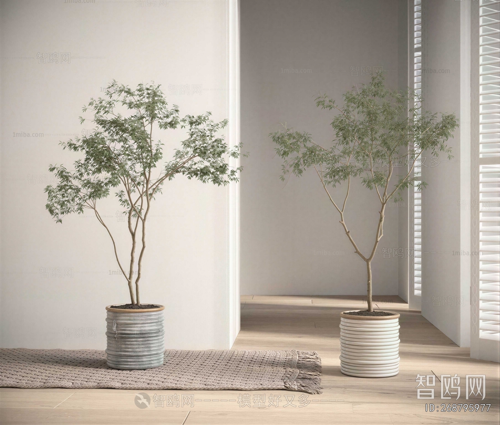 Modern Ground Green Plant Potted Plants