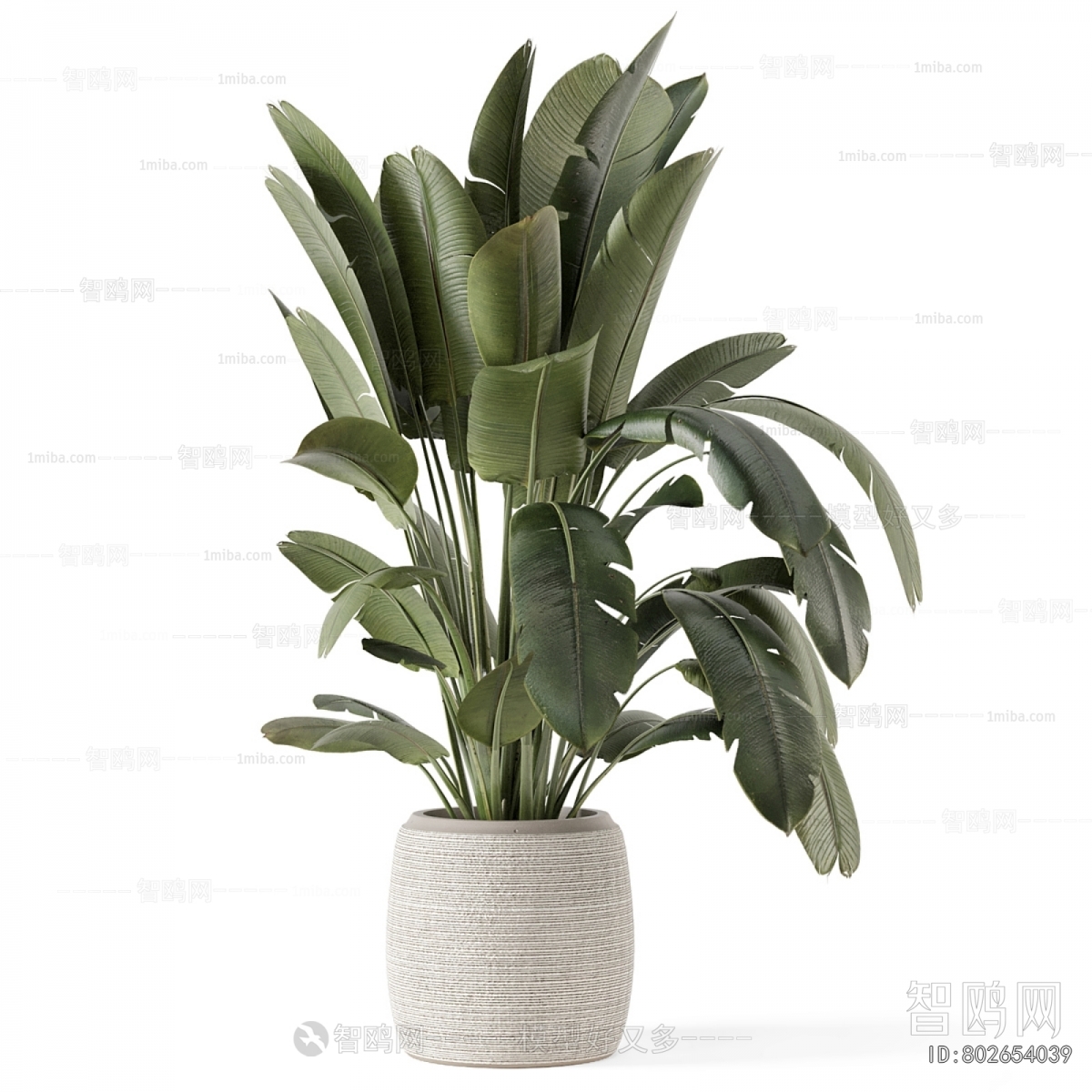 Modern Ground Green Plant Potted Plants