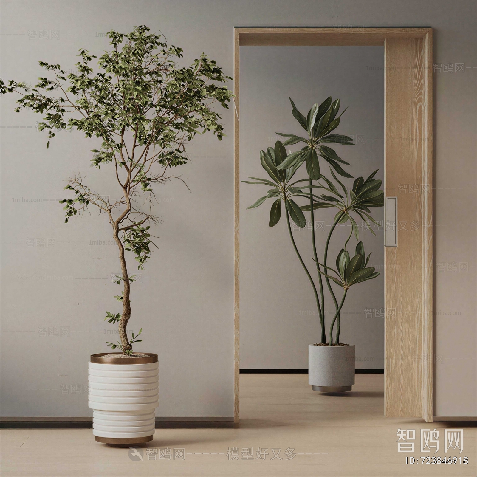 Modern Ground Green Plant Potted Plants