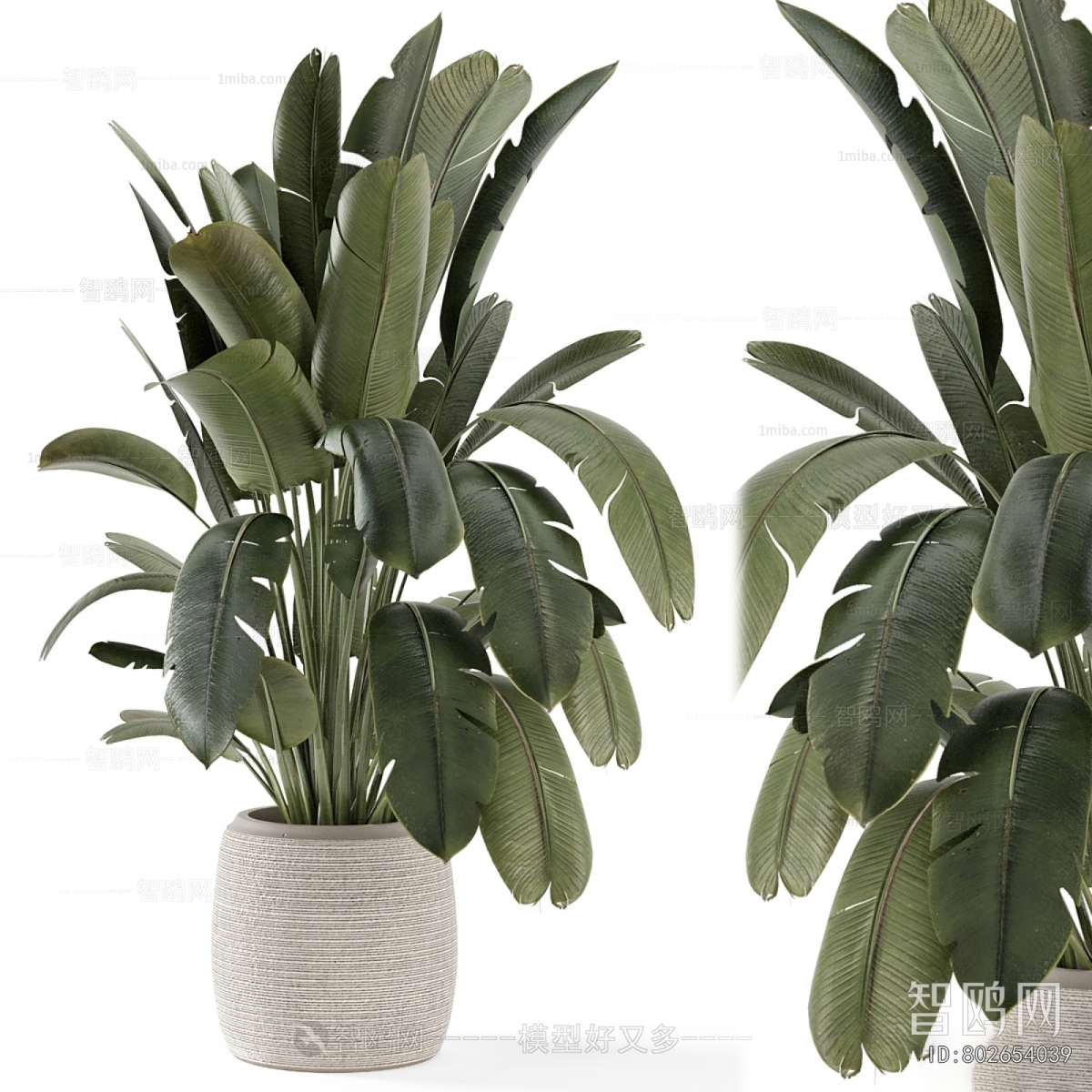Modern Ground Green Plant Potted Plants