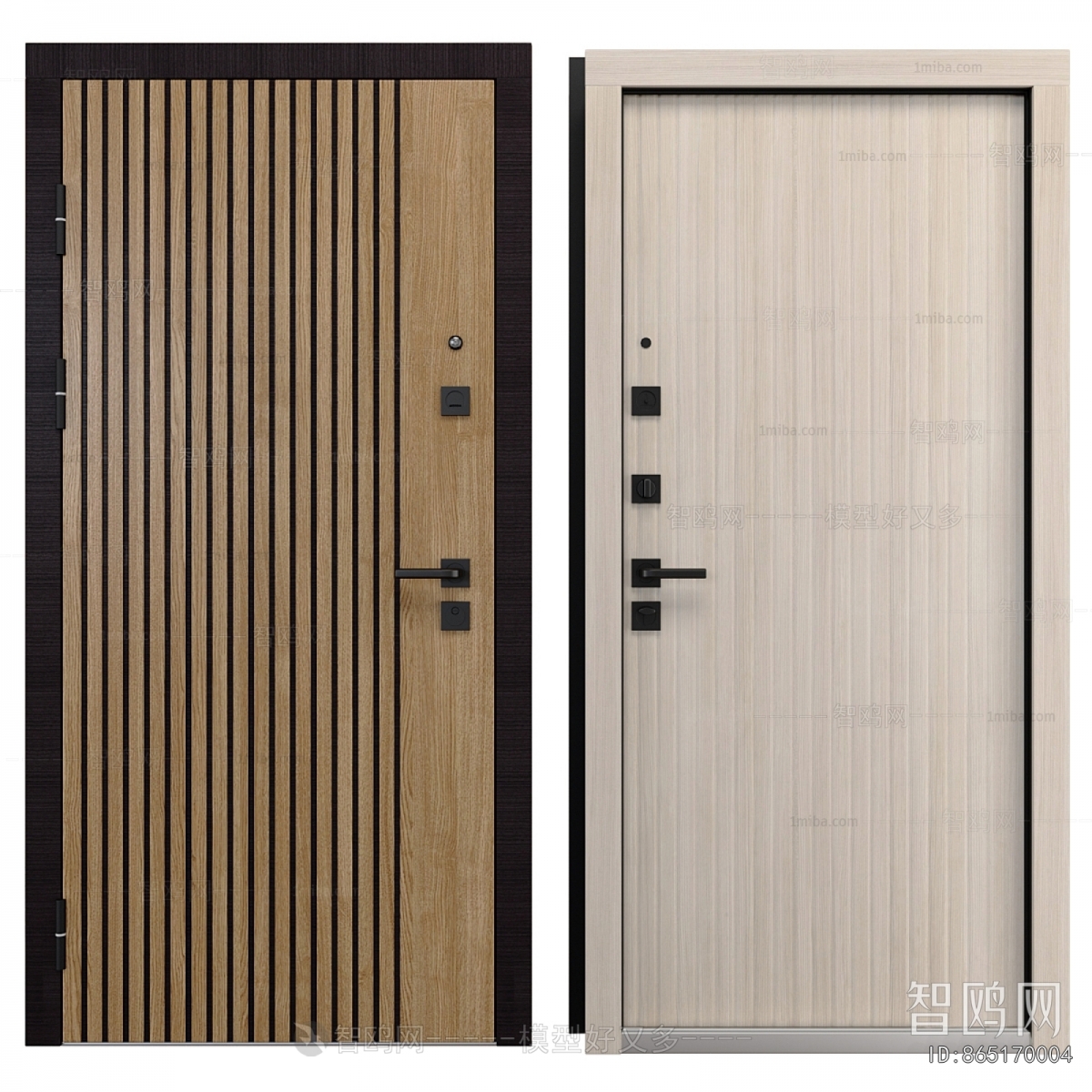 Modern Entrance Door