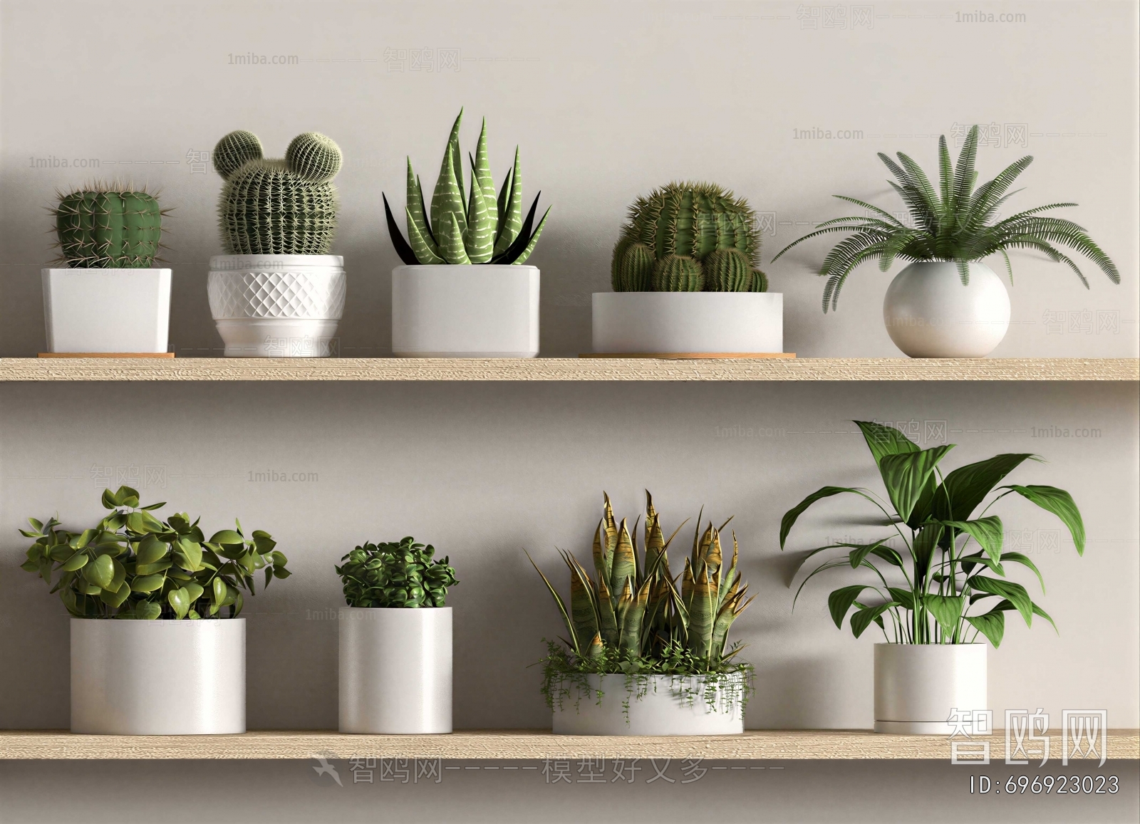 Modern Desktop Plant