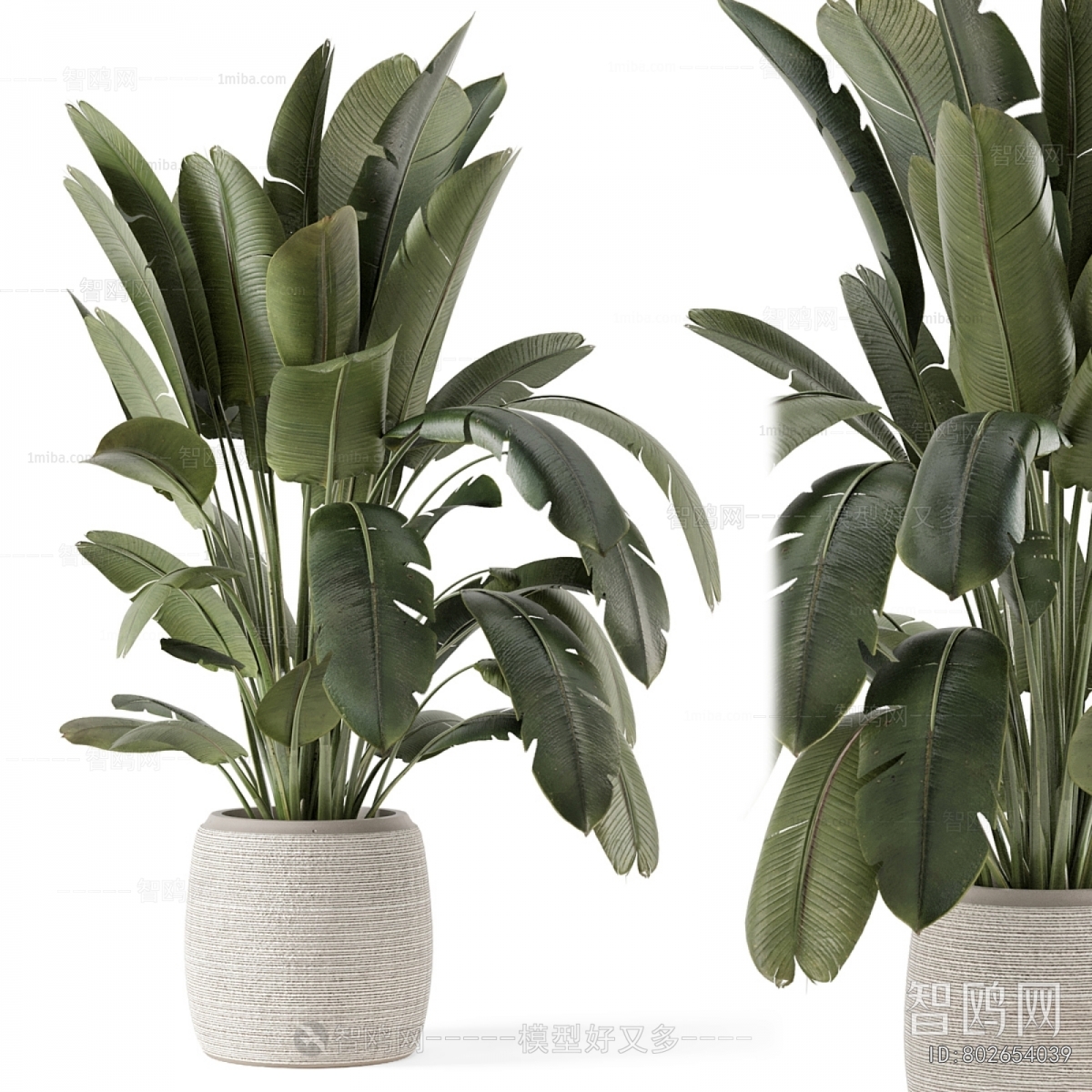 Modern Ground Green Plant Potted Plants