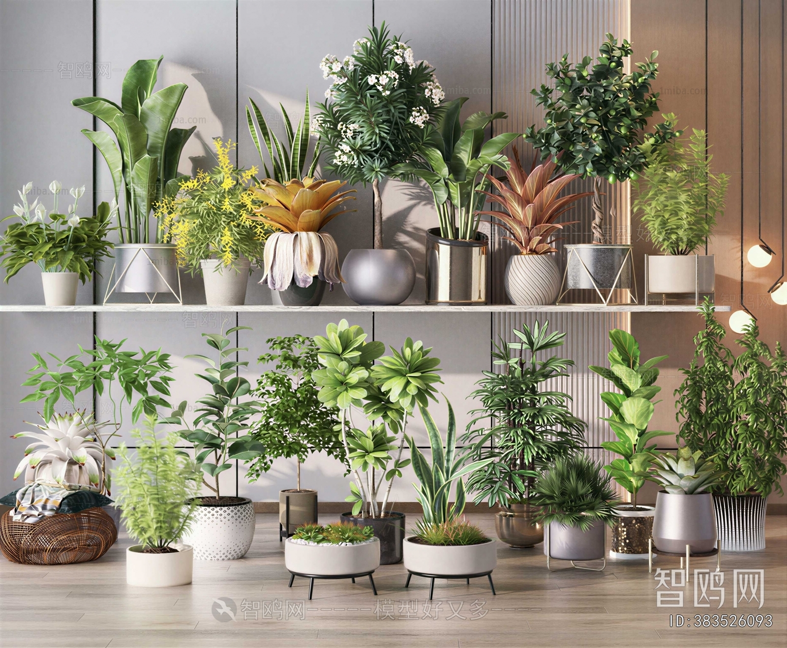 Modern Potted Green Plant