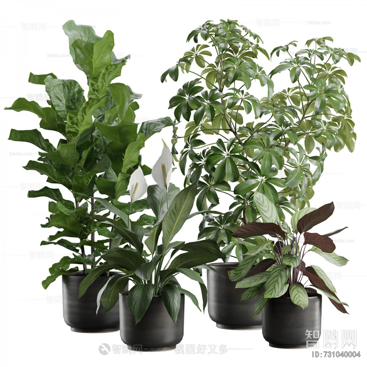 Modern Ground Green Plant Potted Plants