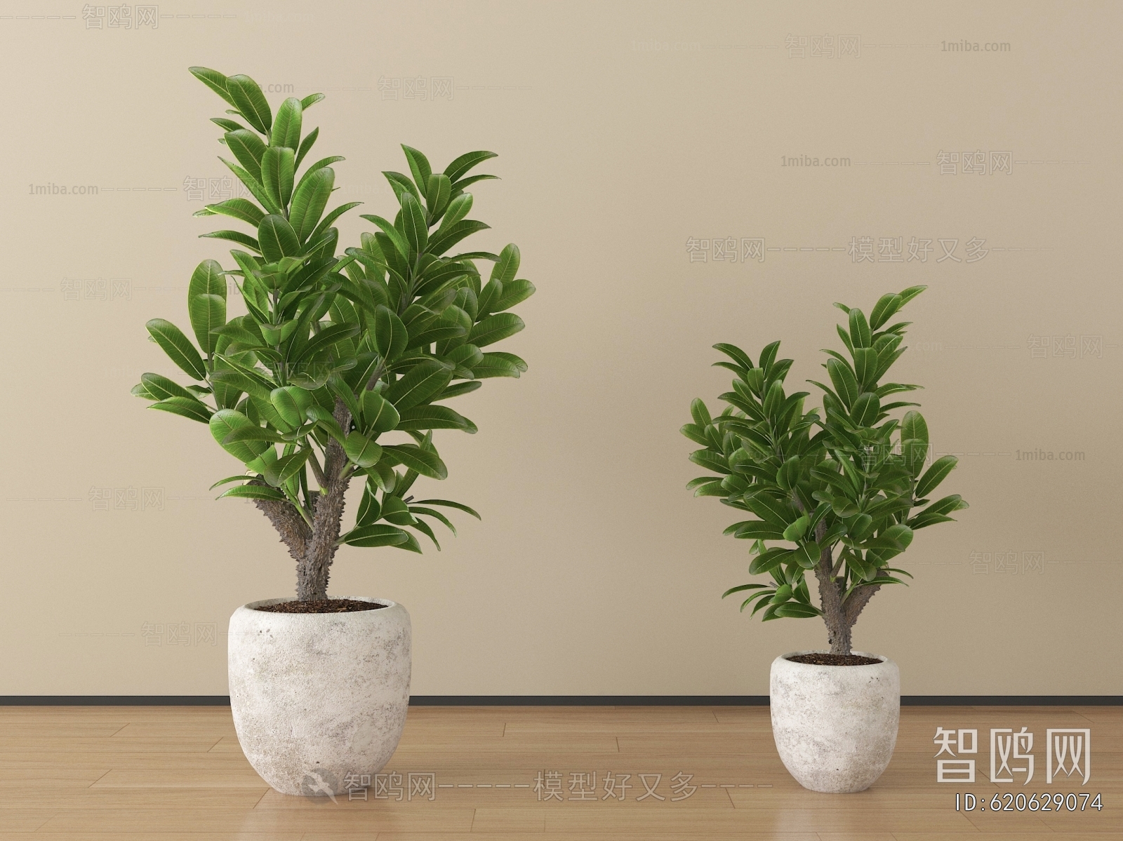 Modern Ground Green Plant Potted Plants