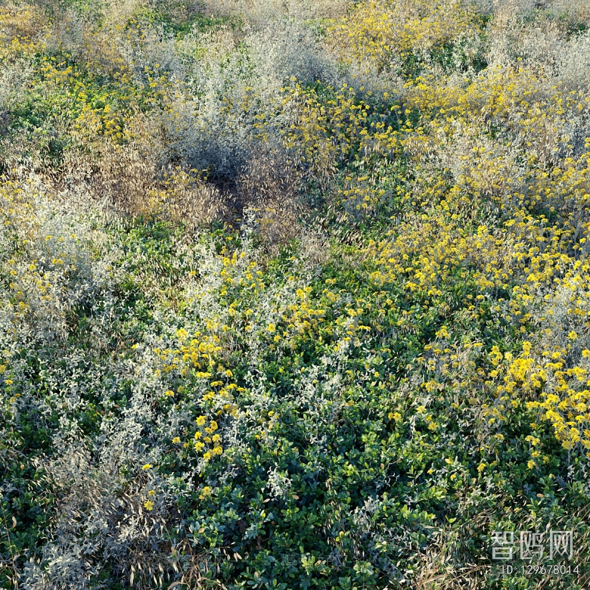 Modern Flowers And Grass