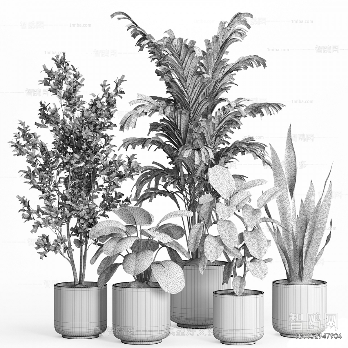 Modern Ground Green Plant Potted Plants