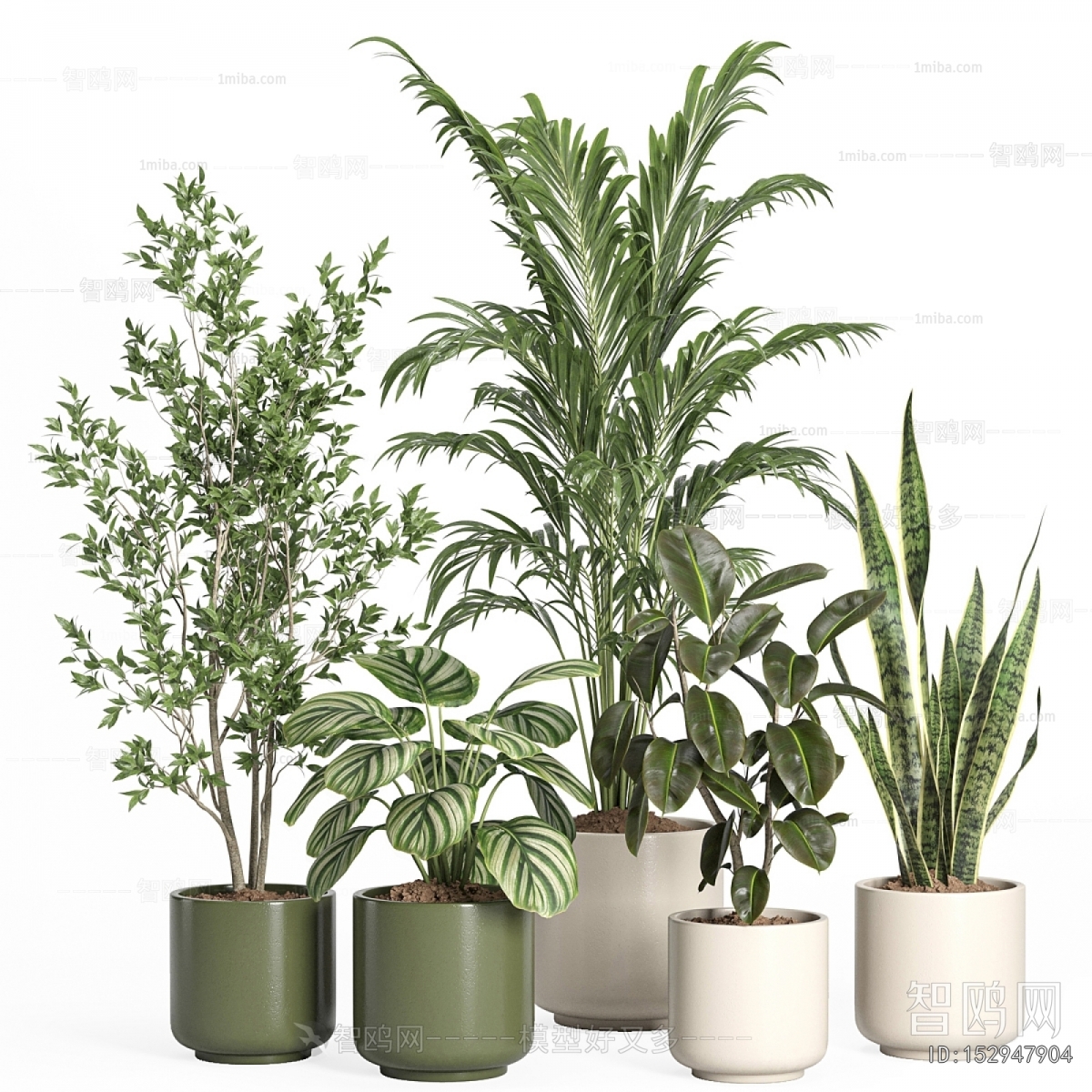 Modern Ground Green Plant Potted Plants
