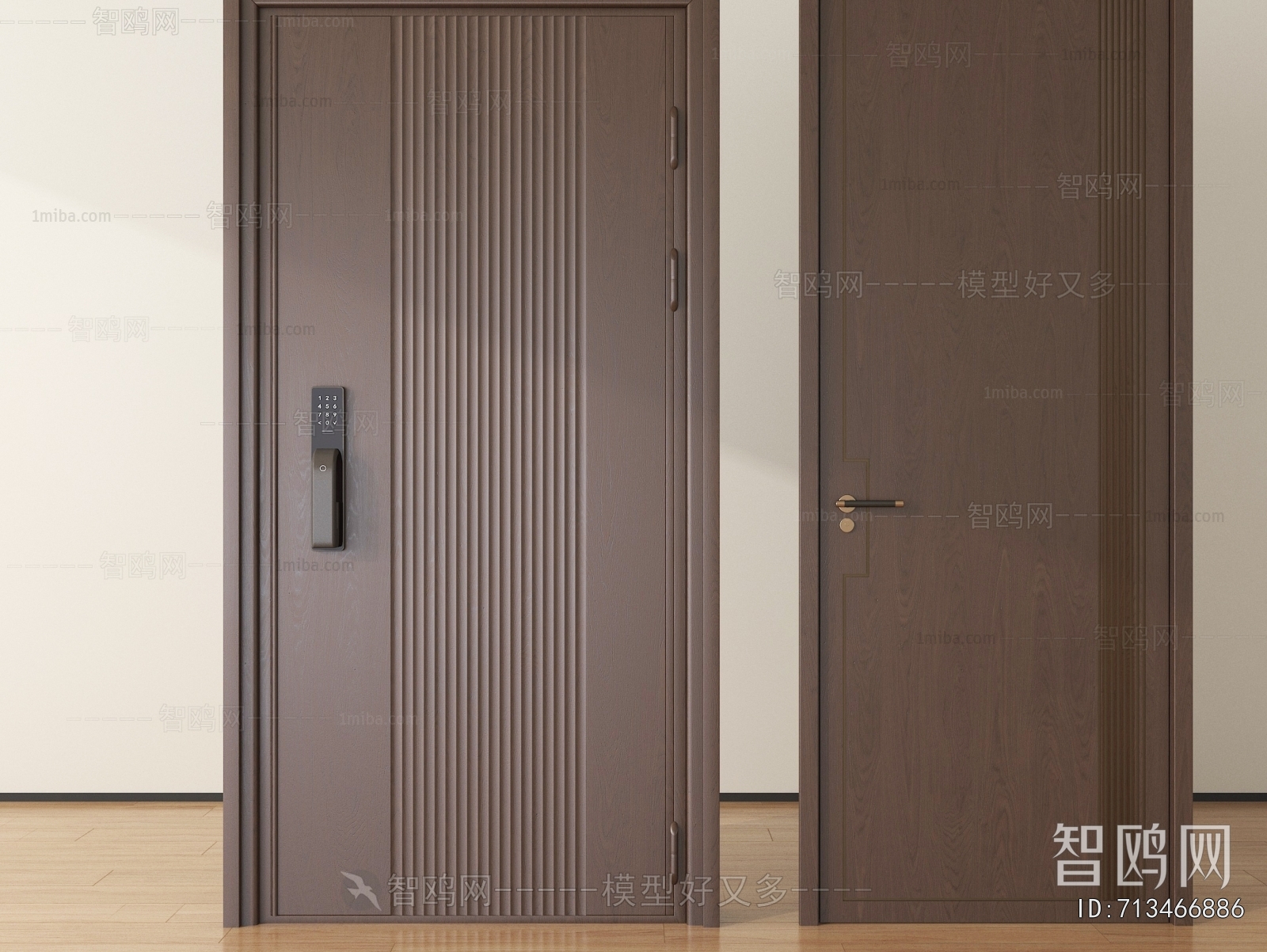 Modern Entrance Door