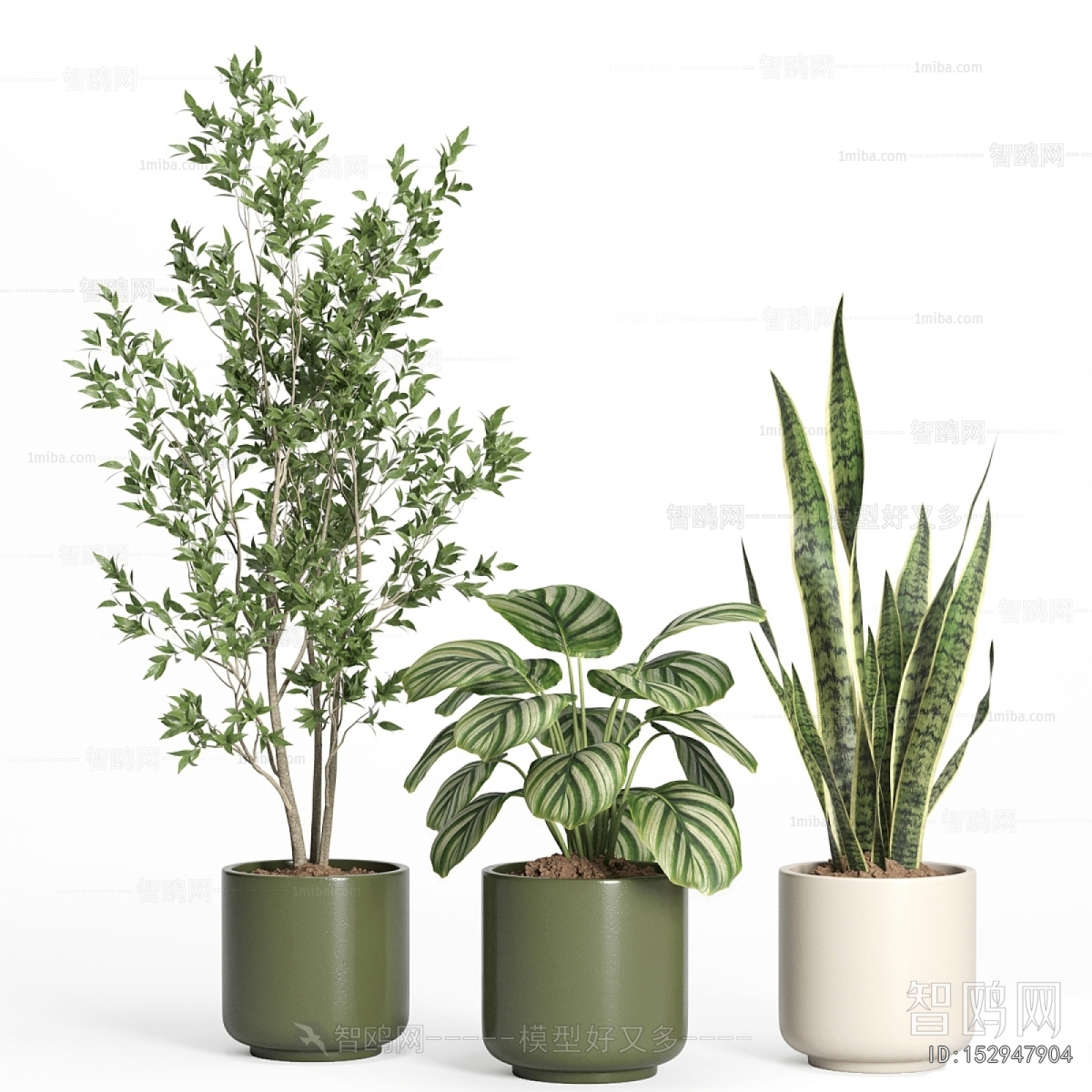 Modern Ground Green Plant Potted Plants
