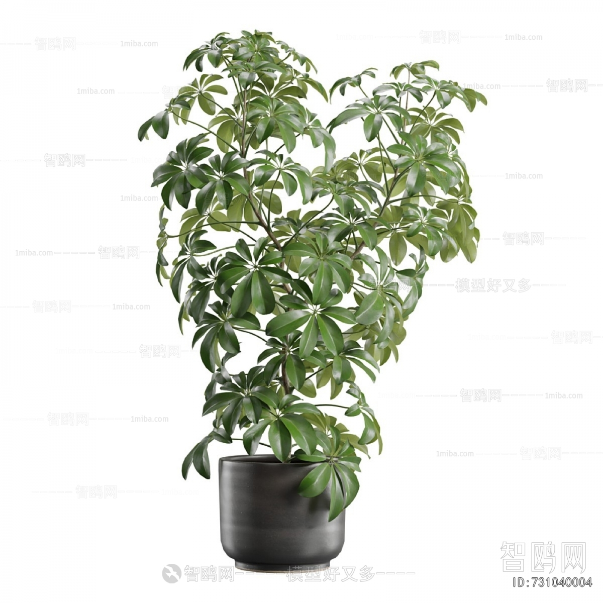 Modern Ground Green Plant Potted Plants