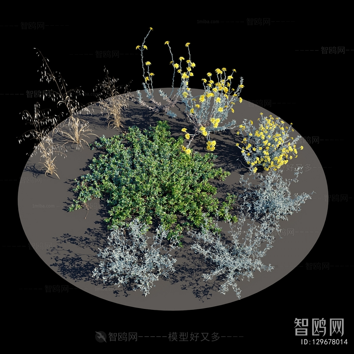 Modern Flowers And Grass