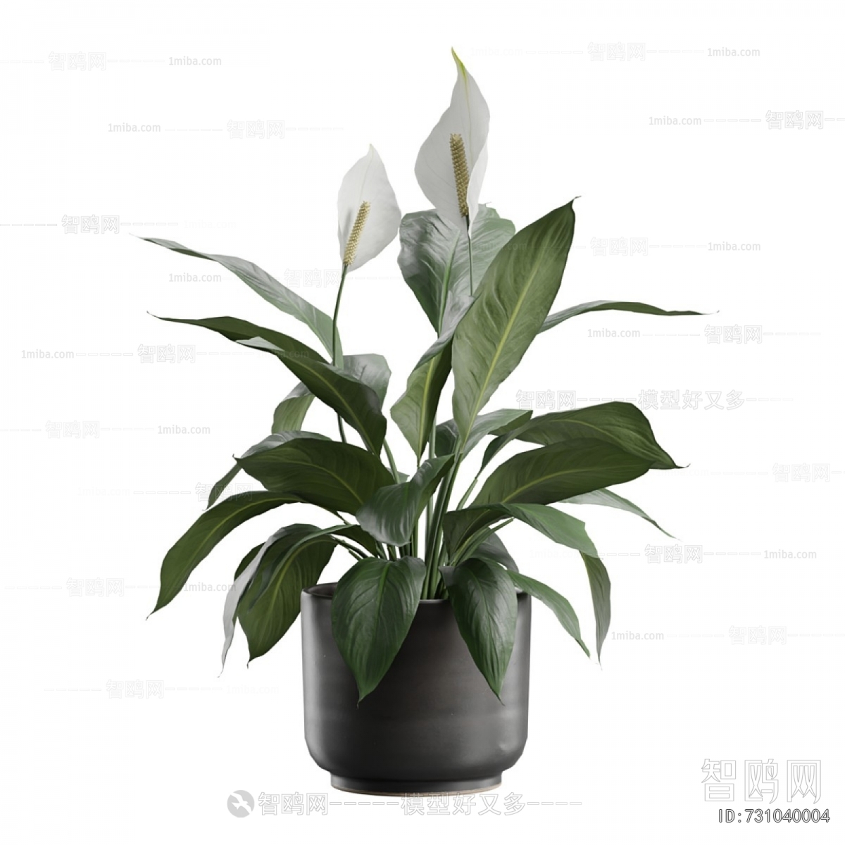 Modern Ground Green Plant Potted Plants
