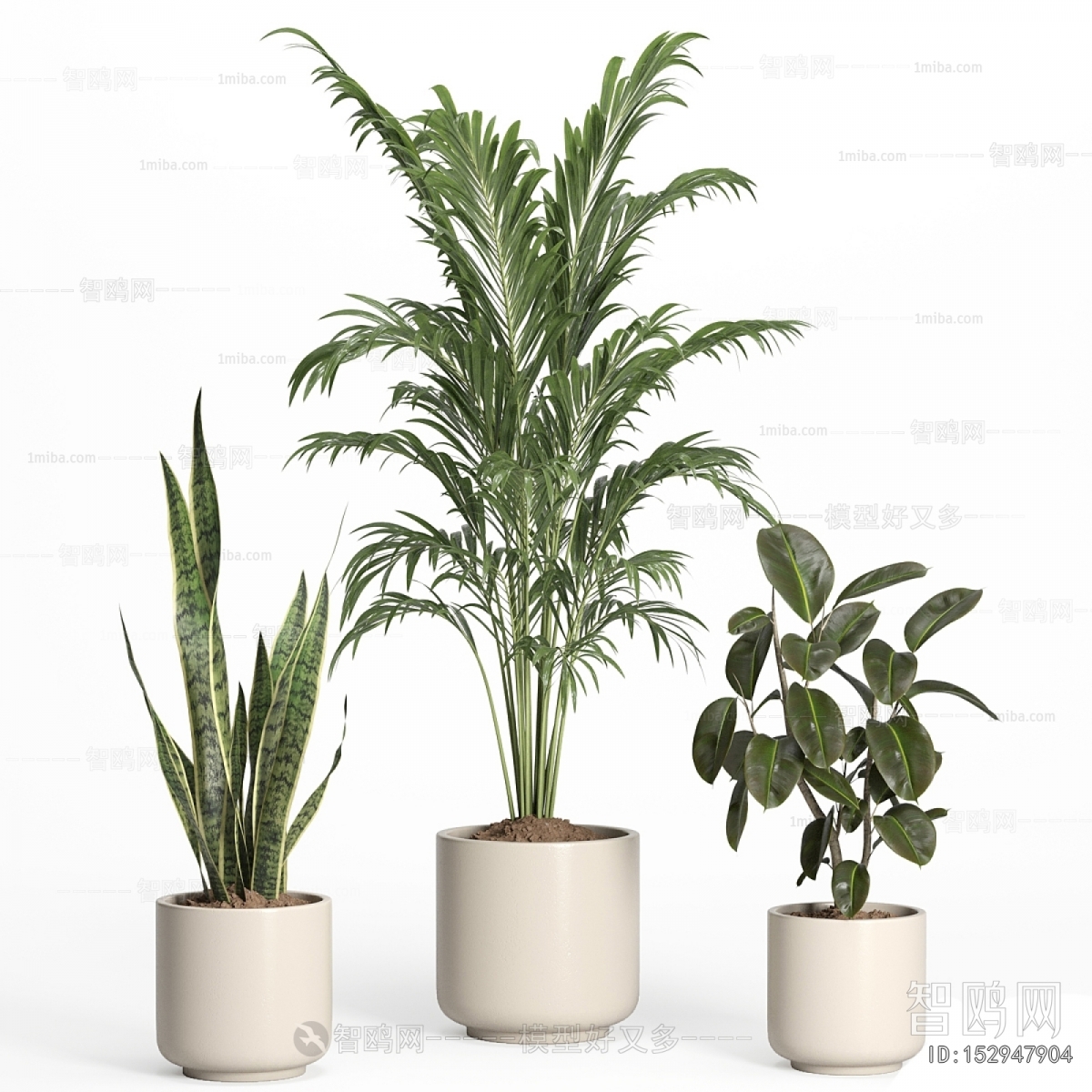 Modern Ground Green Plant Potted Plants