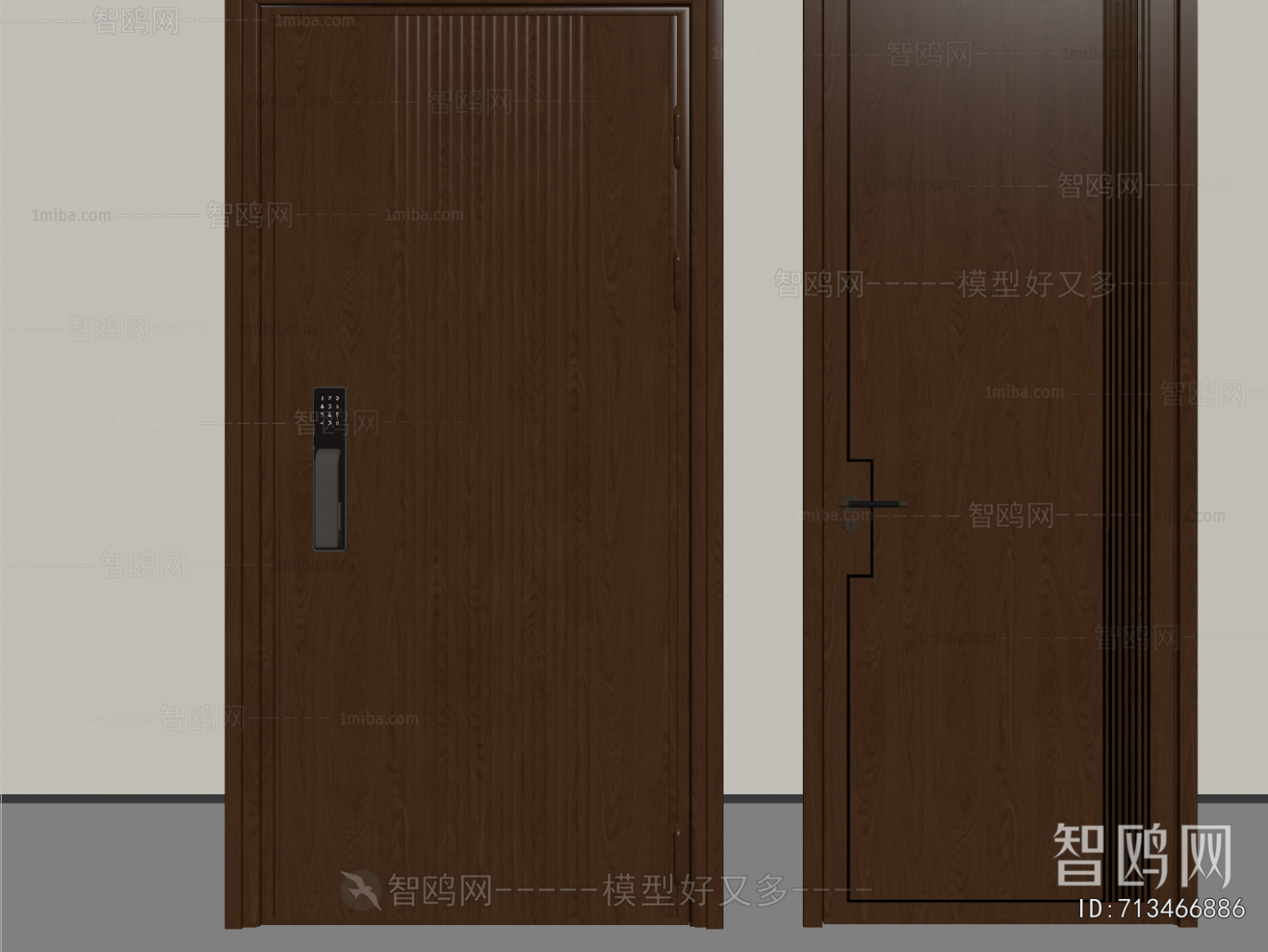 Modern Entrance Door