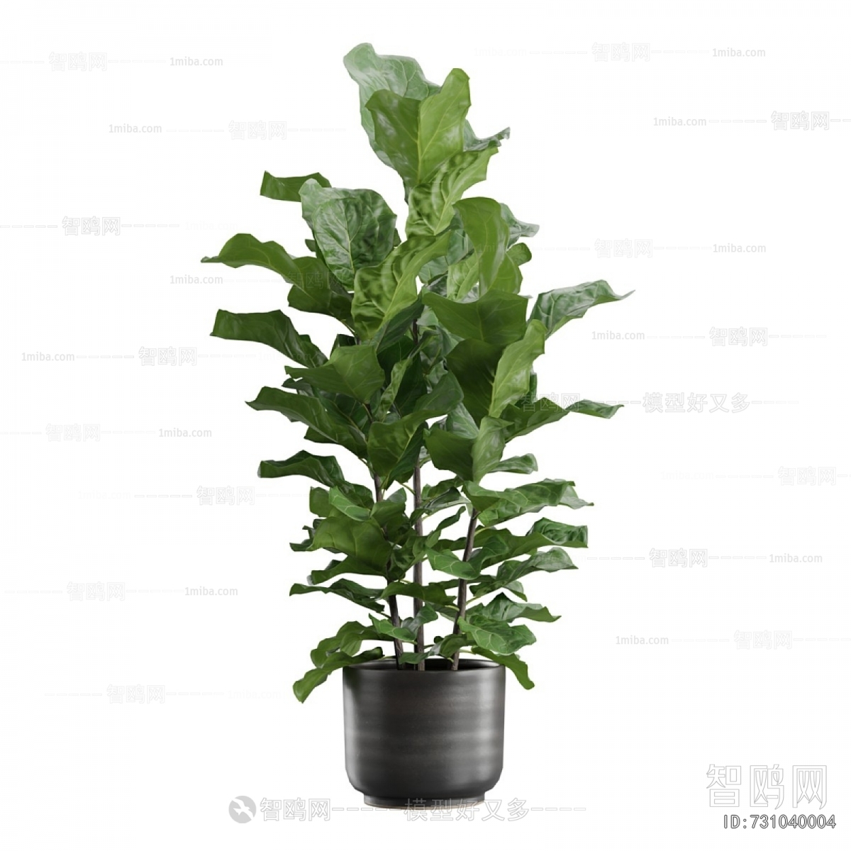 Modern Ground Green Plant Potted Plants