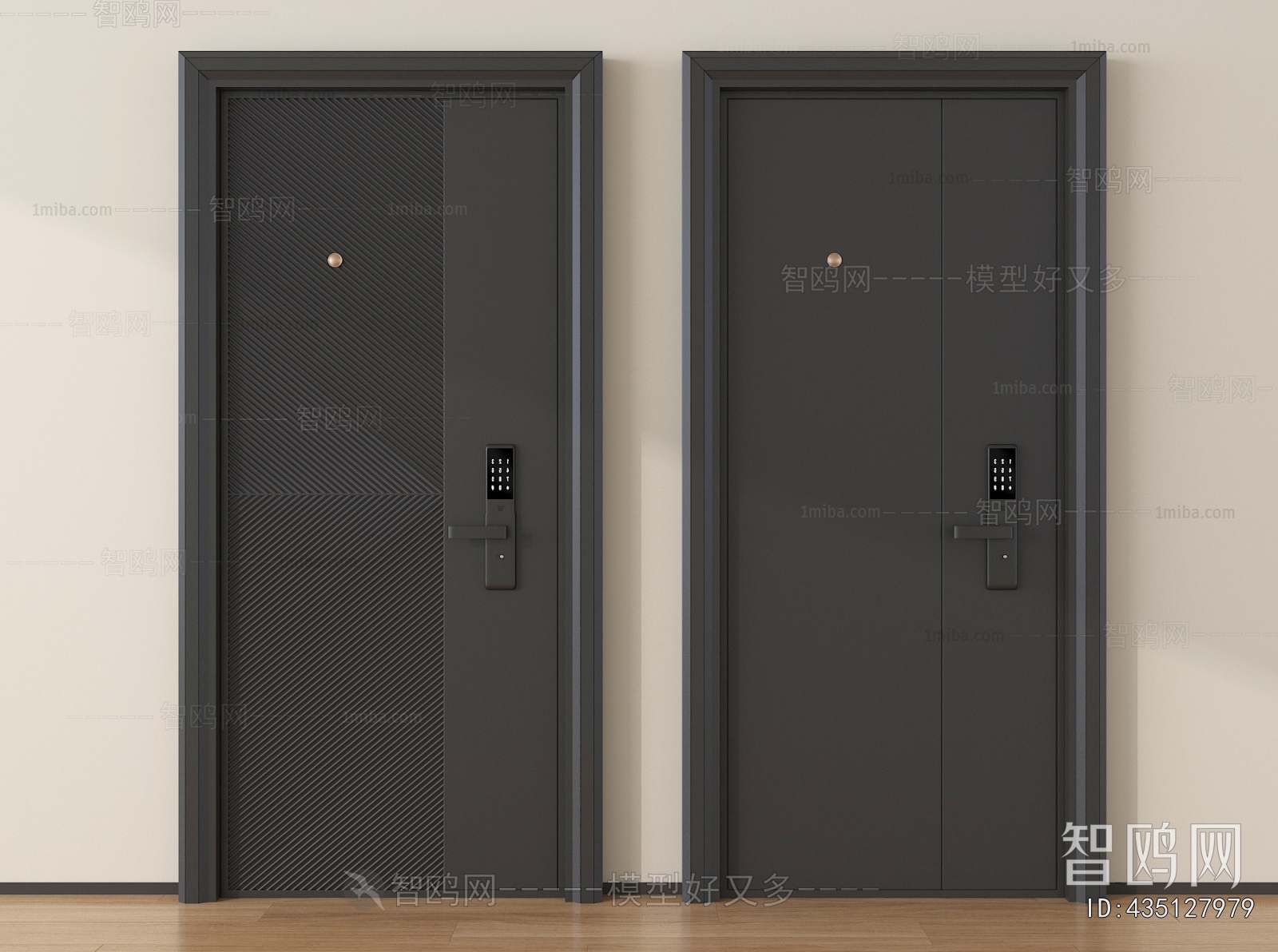 Modern Entrance Door