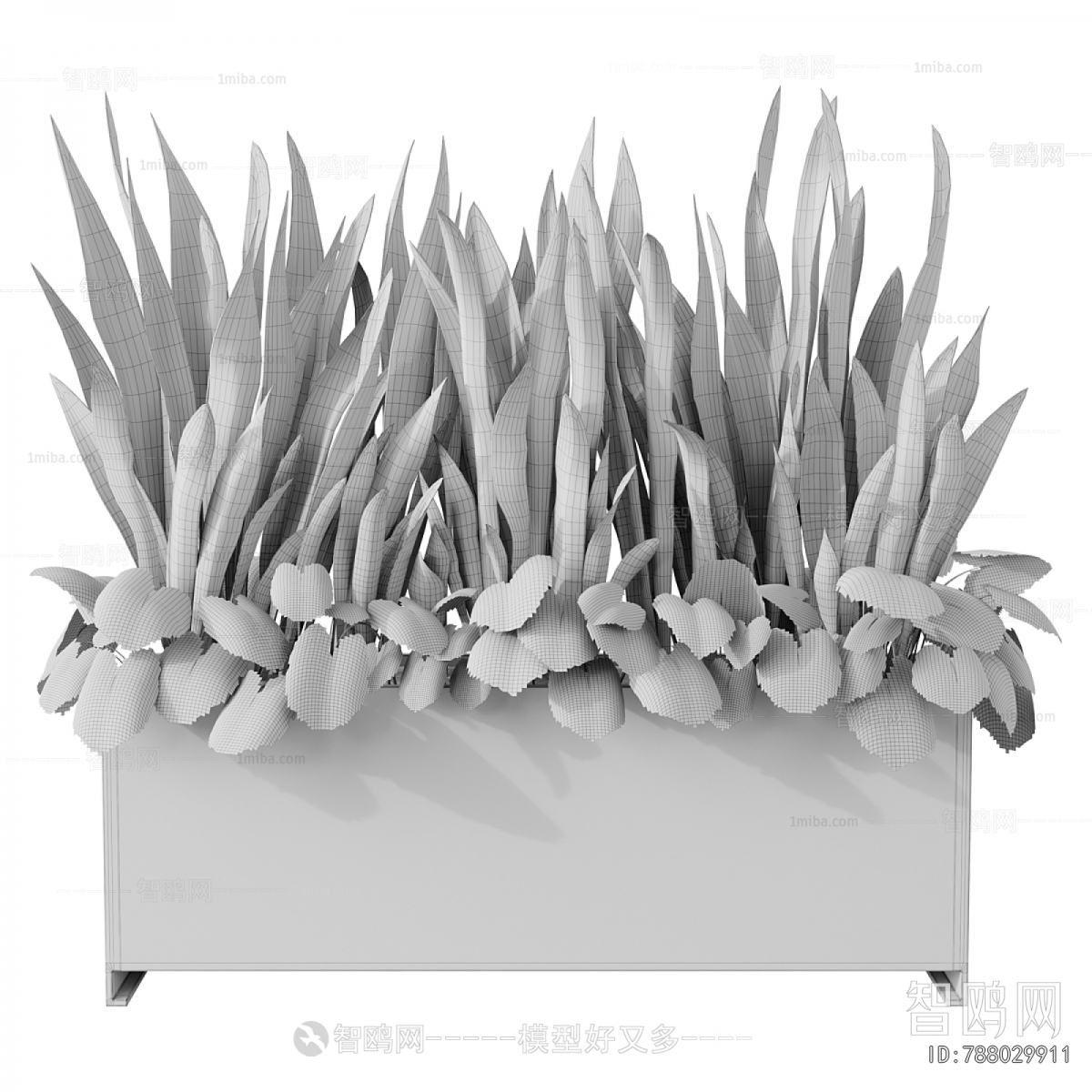 Modern Flower Bed, Flower Bowl, Flower Box