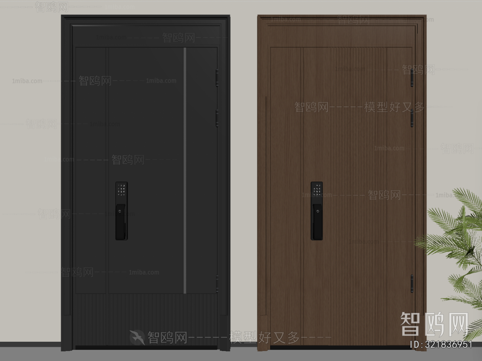 Modern Entrance Door