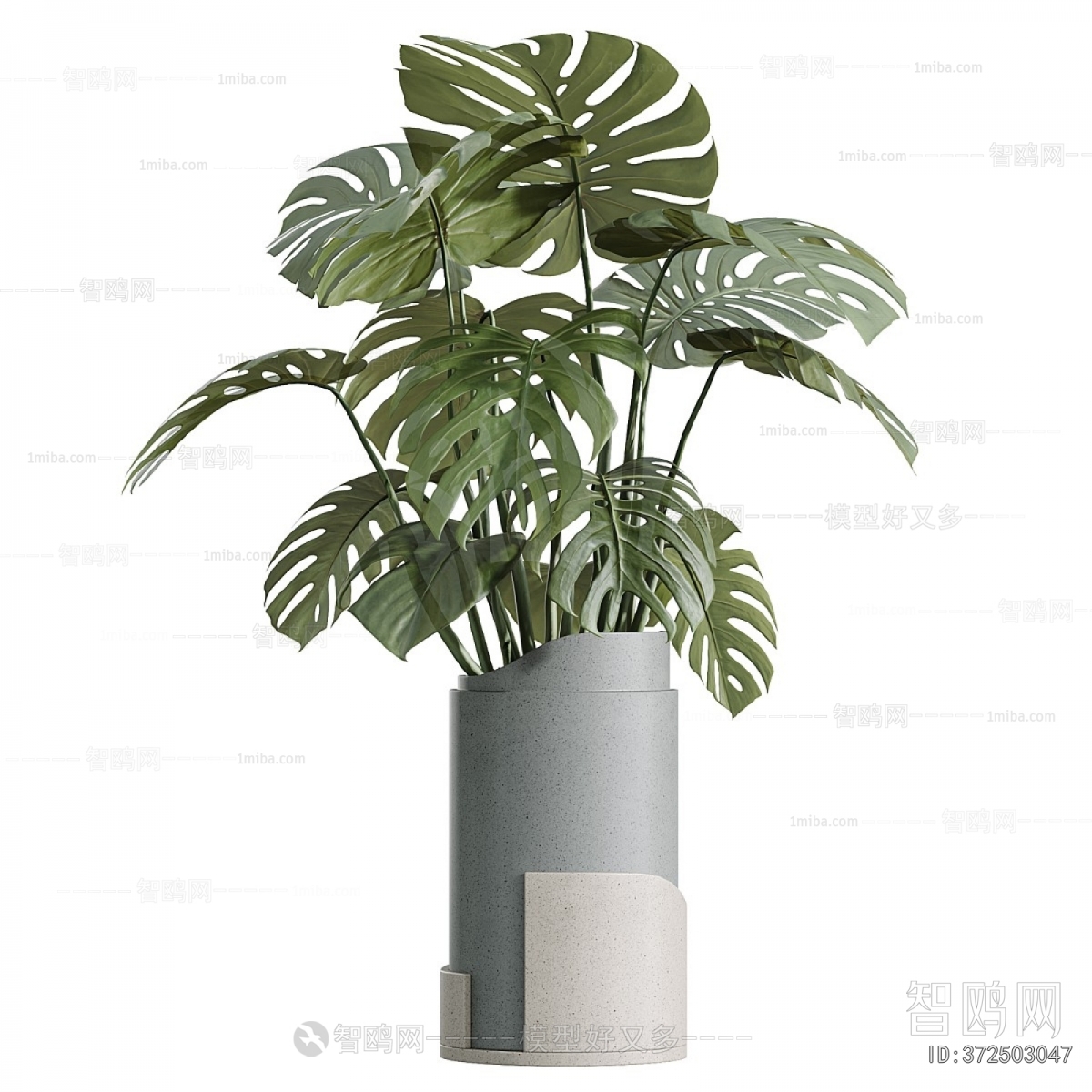 Modern Ground Green Plant Potted Plants