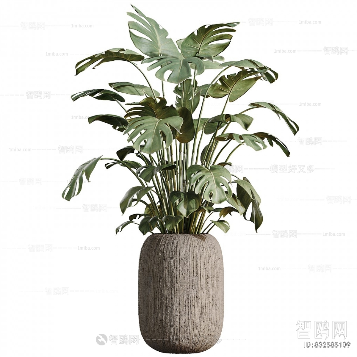 Modern Ground Green Plant Potted Plants