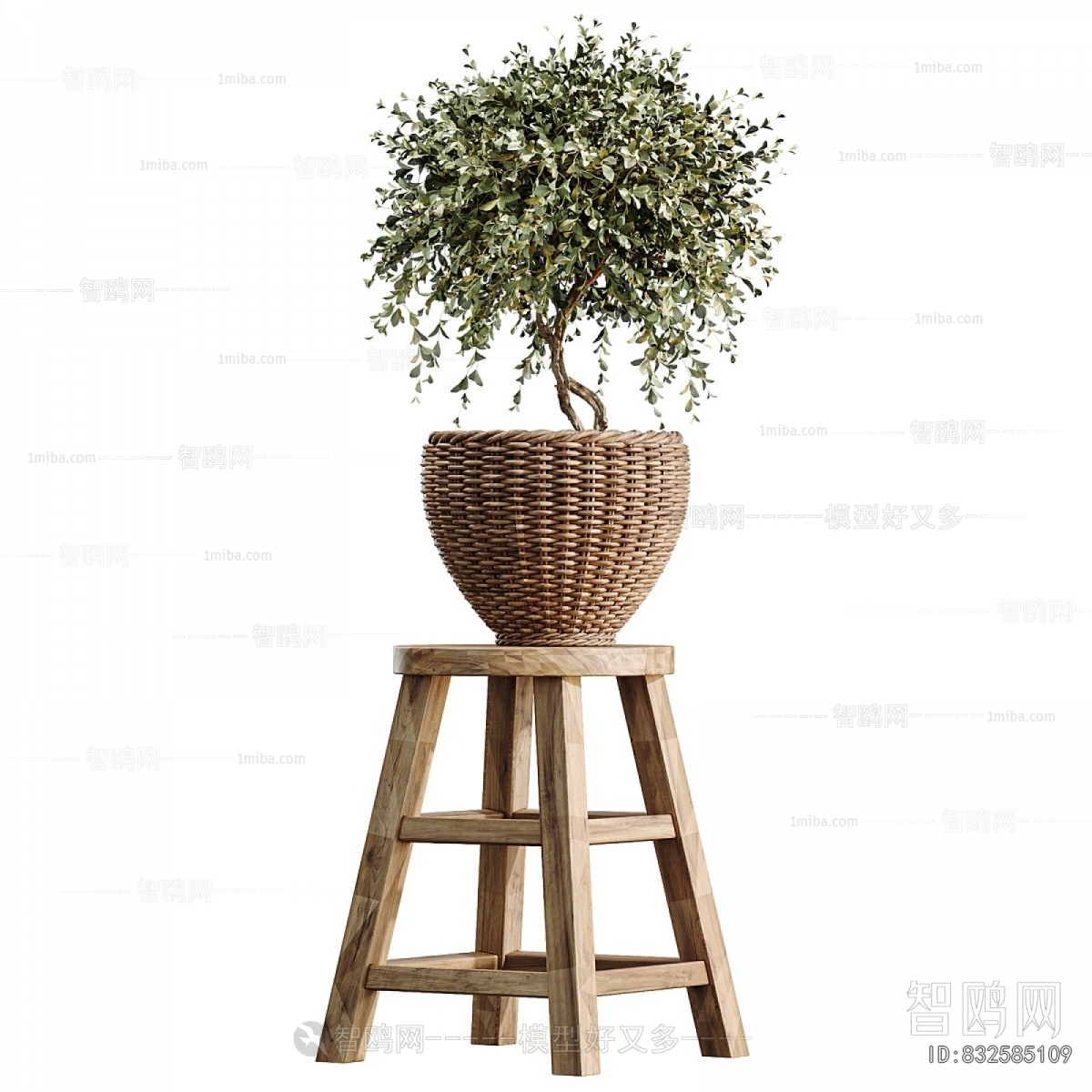 Modern Ground Green Plant Potted Plants