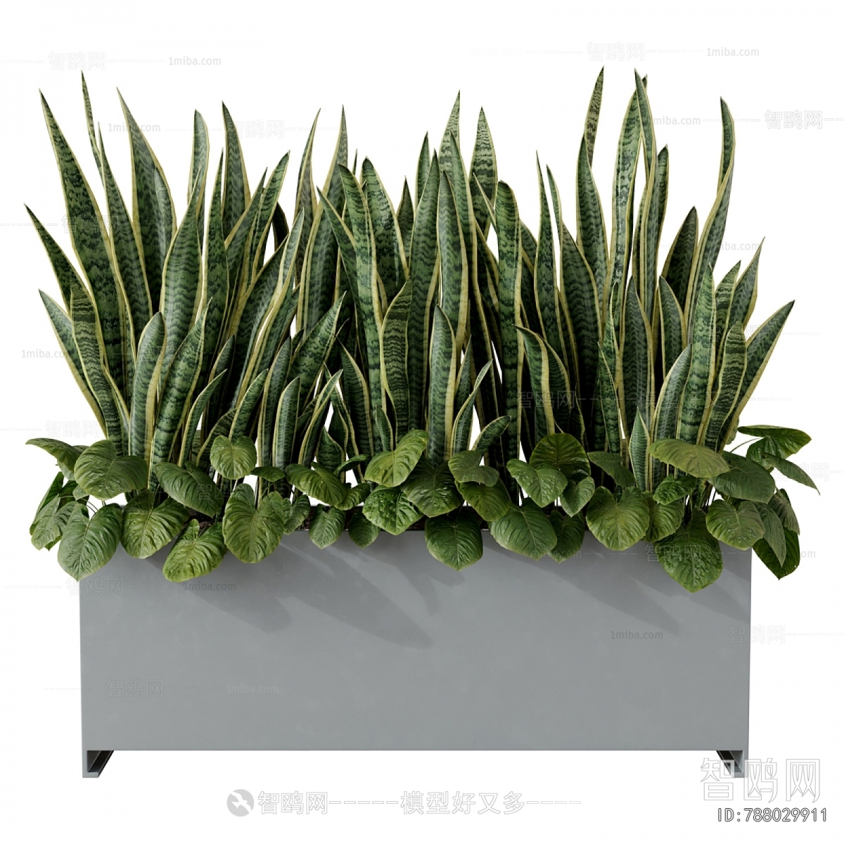 Modern Flower Bed, Flower Bowl, Flower Box