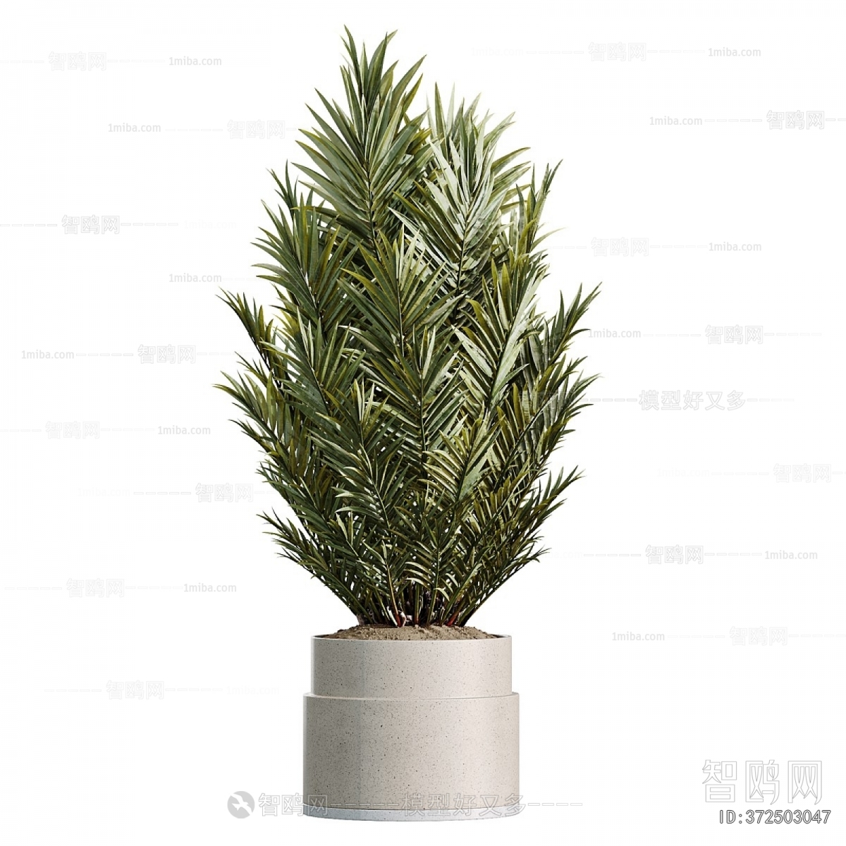 Modern Ground Green Plant Potted Plants