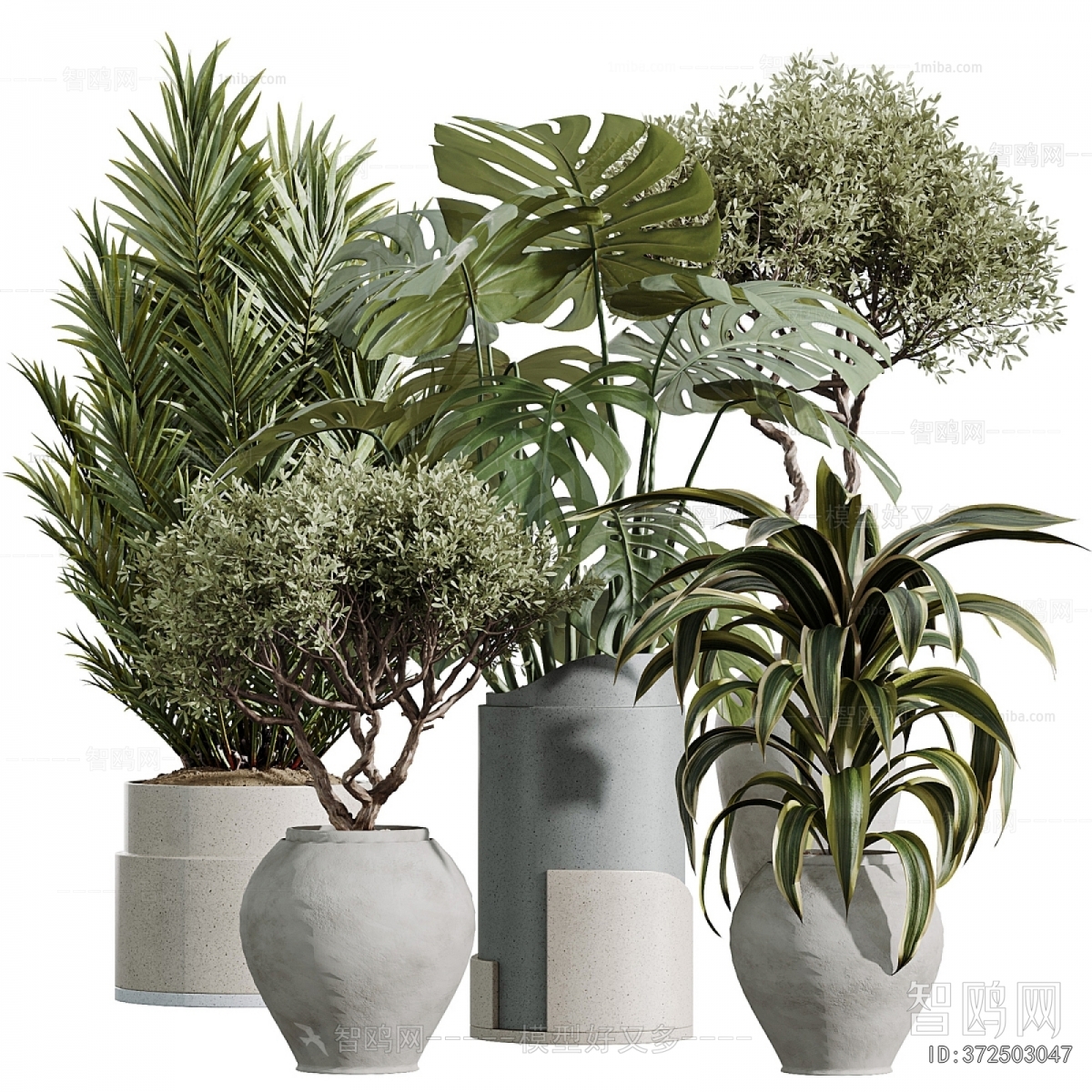 Modern Ground Green Plant Potted Plants