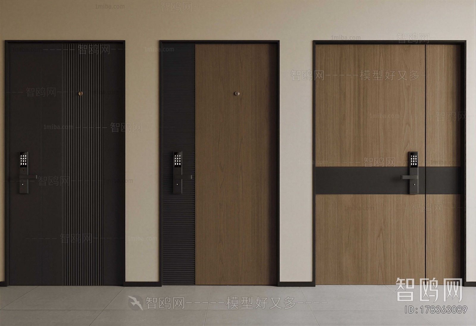 Modern Entrance Door