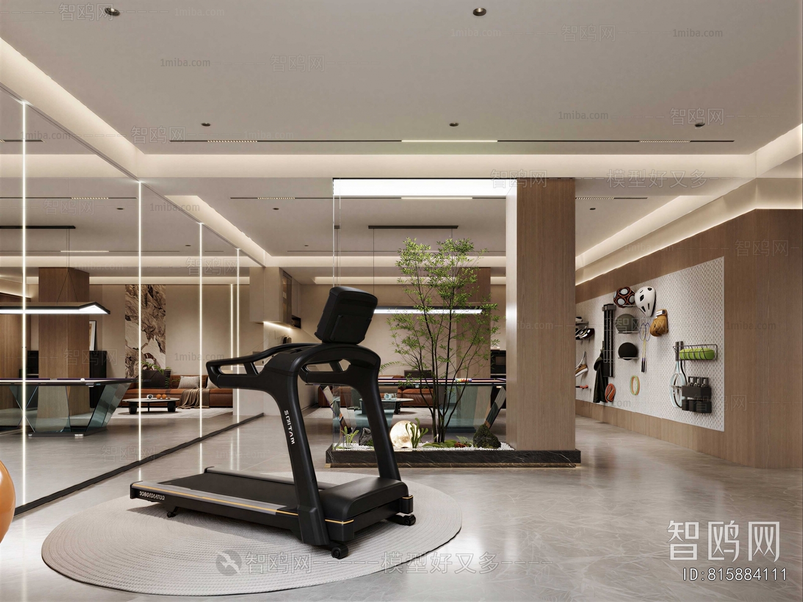 Modern Home Fitness Room