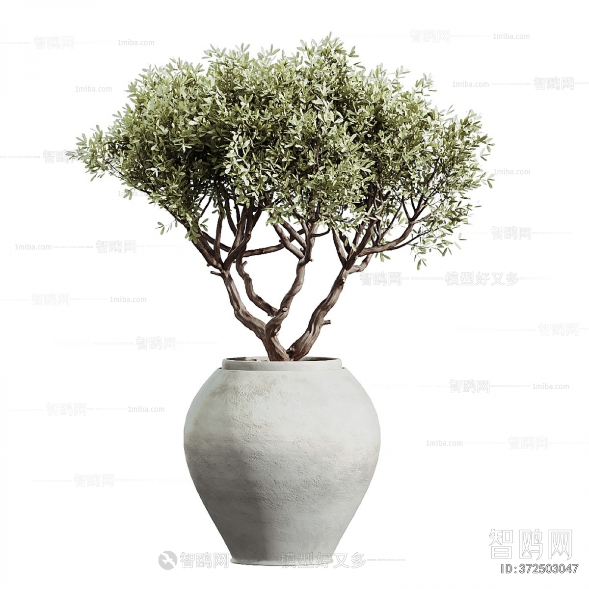 Modern Ground Green Plant Potted Plants