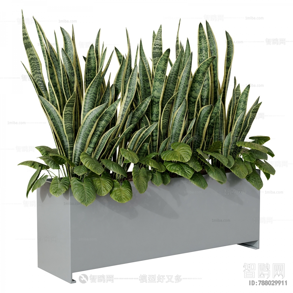Modern Flower Bed, Flower Bowl, Flower Box