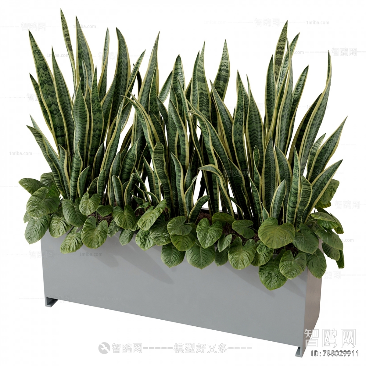 Modern Flower Bed, Flower Bowl, Flower Box
