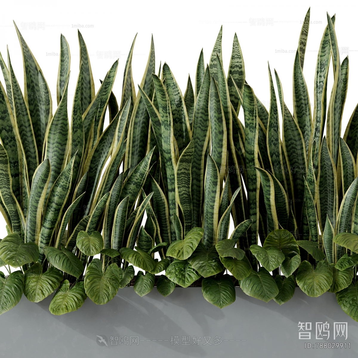 Modern Flower Bed, Flower Bowl, Flower Box