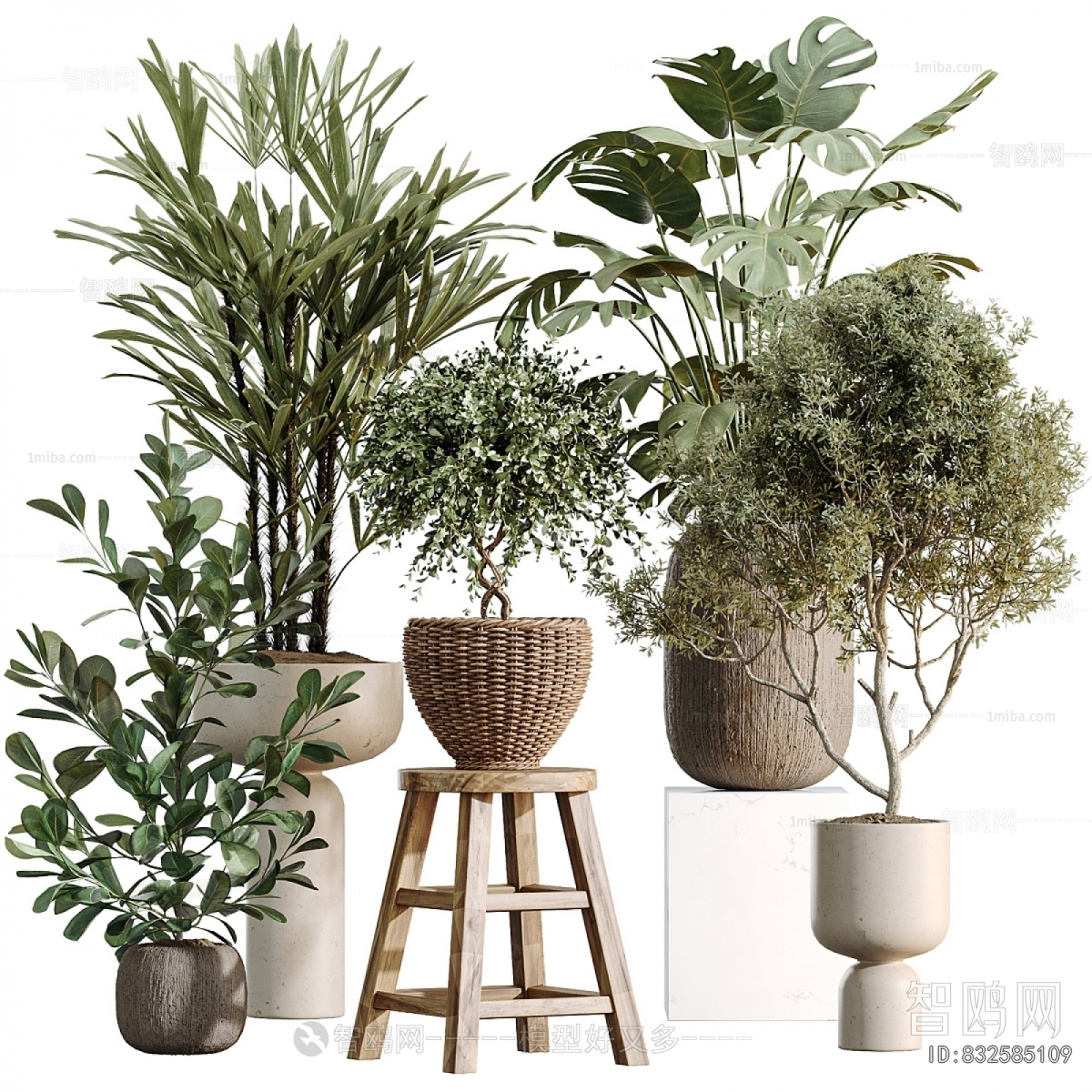 Modern Ground Green Plant Potted Plants
