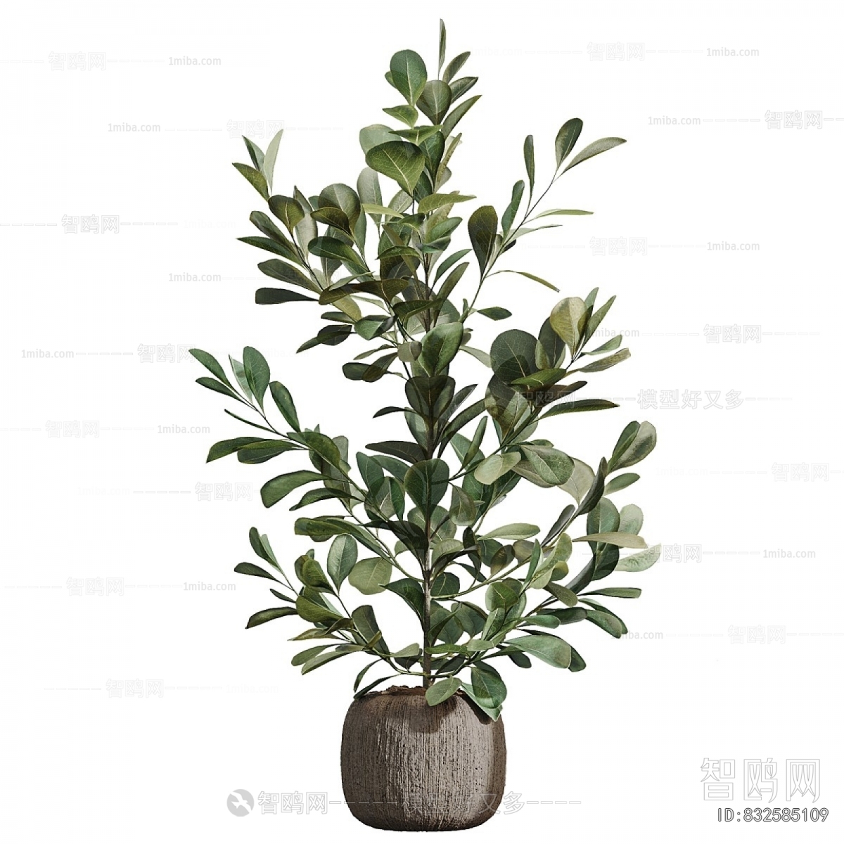 Modern Ground Green Plant Potted Plants