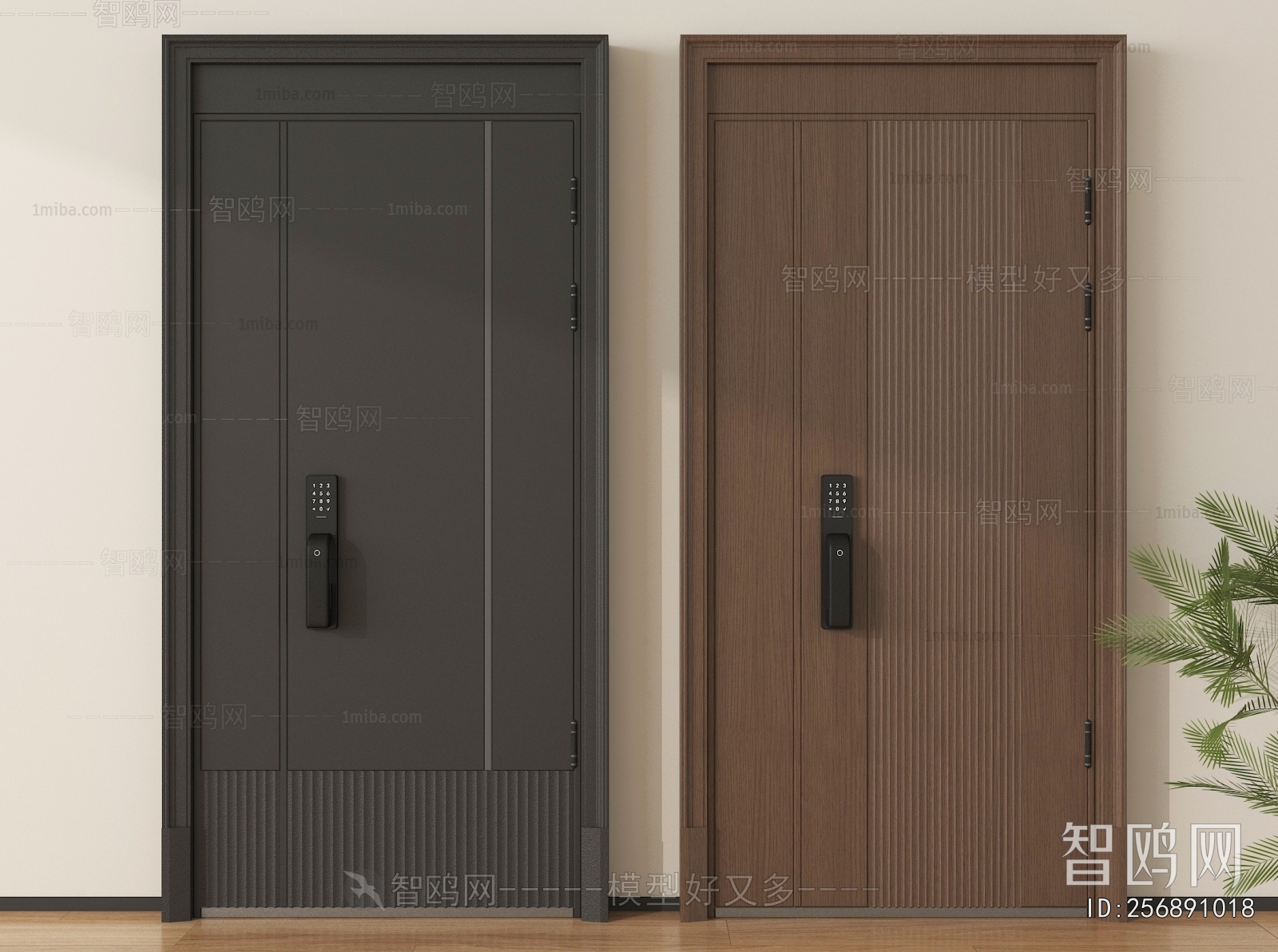 Modern Entrance Door