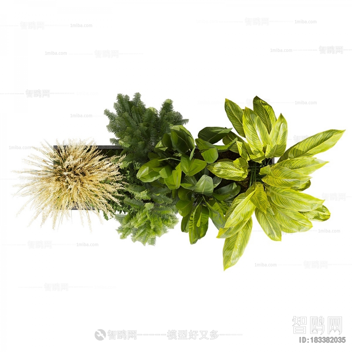 Modern Flower Bed, Flower Bowl, Flower Box