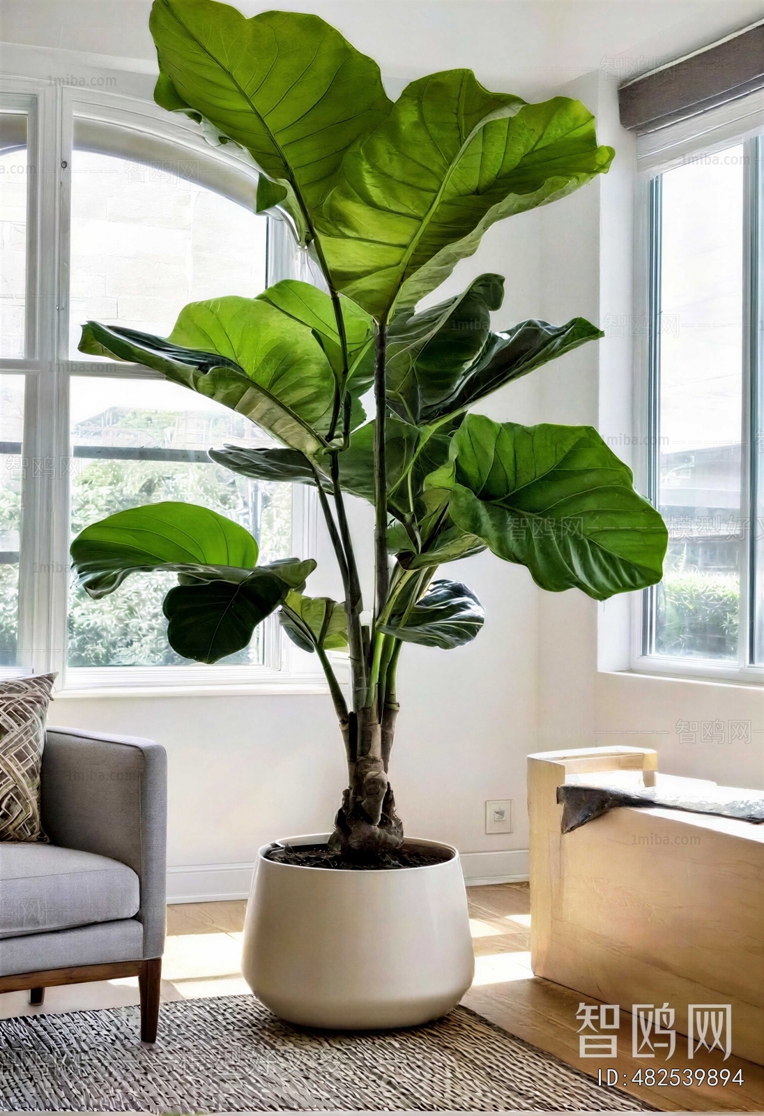 Modern Ground Green Plant Potted Plants