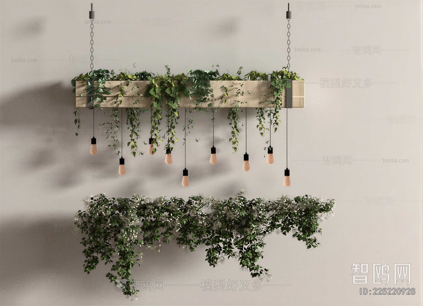 Modern Chlorophytum Comosum