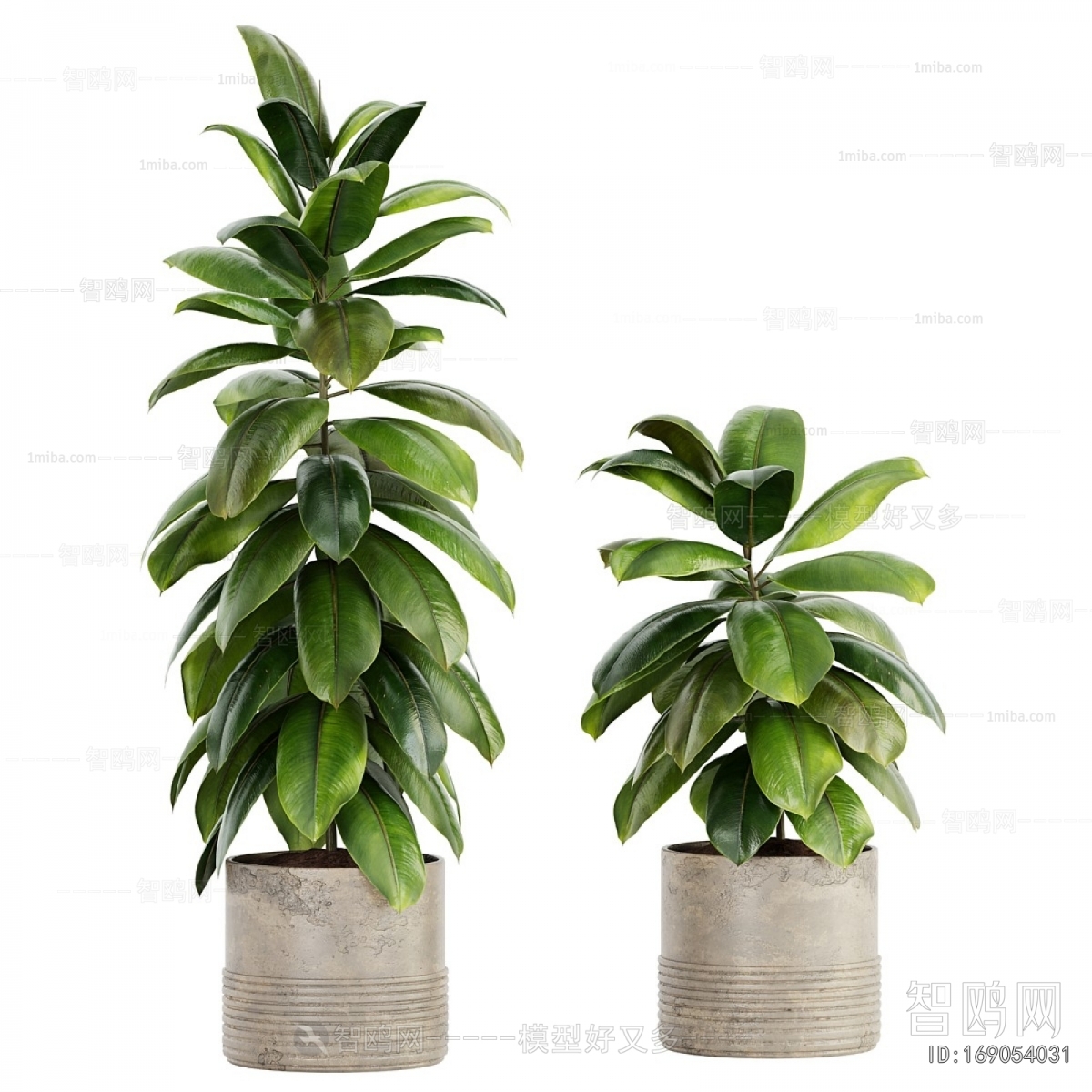 Modern Ground Green Plant Potted Plants