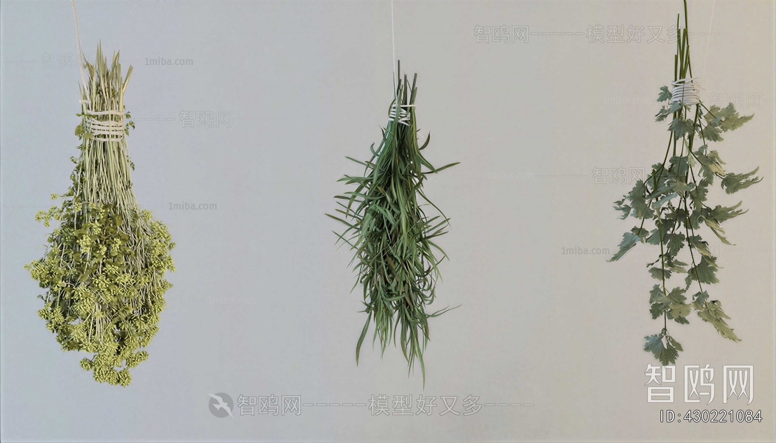 Modern Flowers And Grass