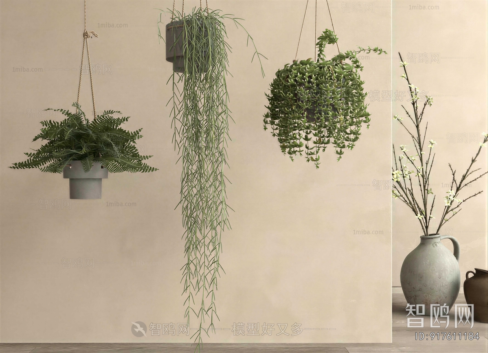 Modern Chlorophytum Comosum